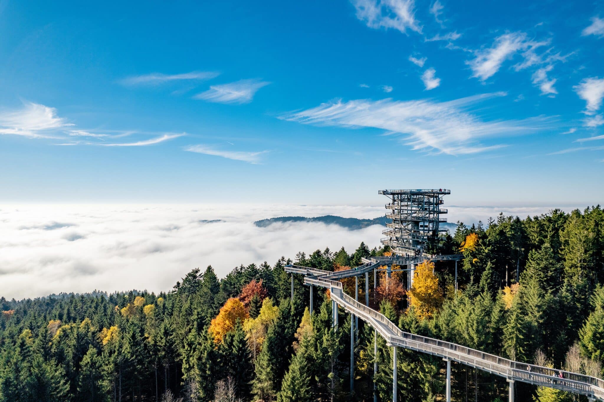 Entspannte Auszeit Im Bayerischen Wald: Tolle Kurzurlaub-Angebote ...